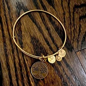 Alex and Ani tree bracelet. Never worn.